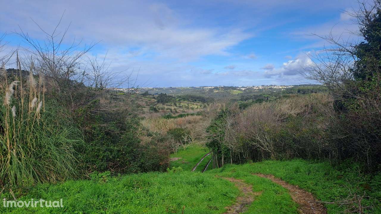 Terreno Agrícola - São João das Lampas - Grande imagem: 4/7