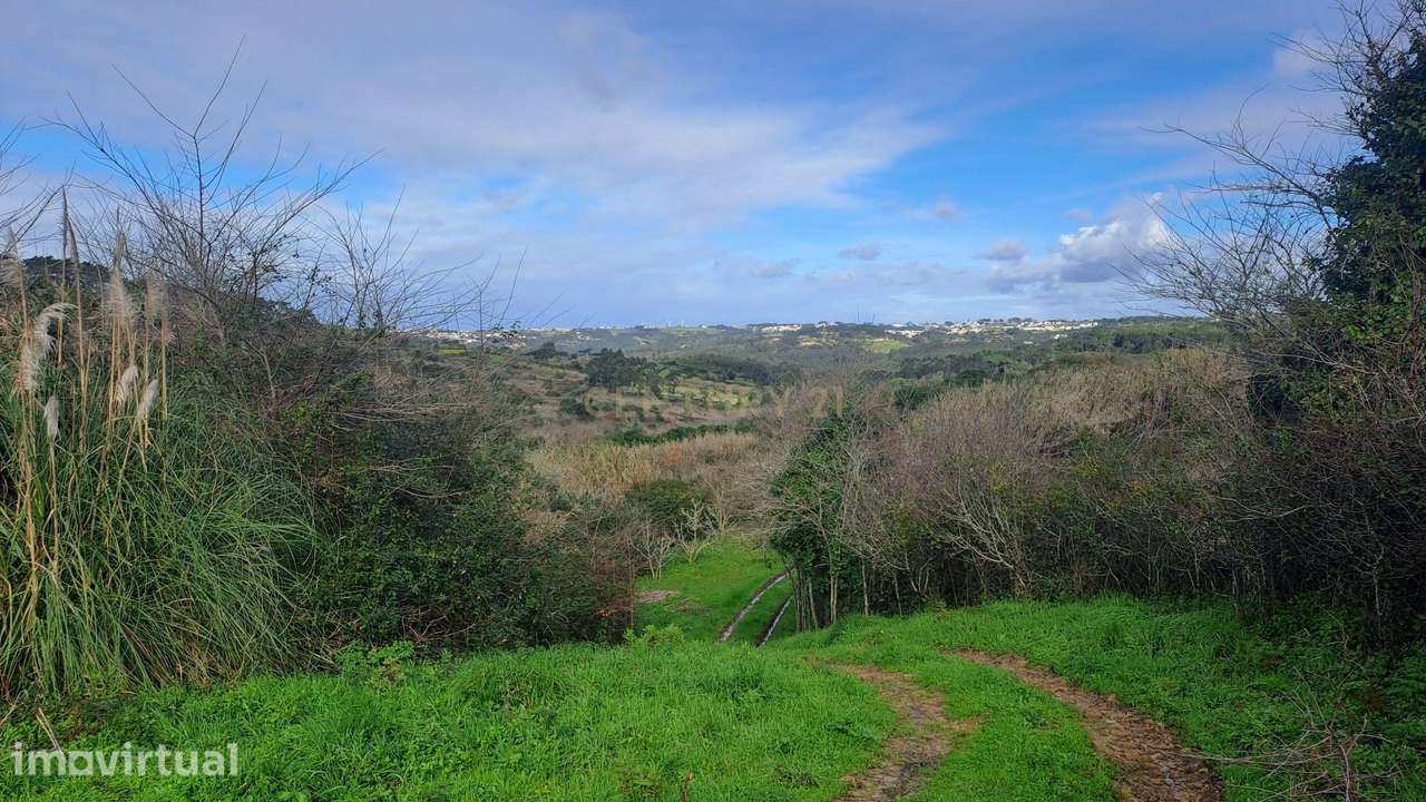Terreno Agrícola - São João das Lampas - Grande imagem: 4/7