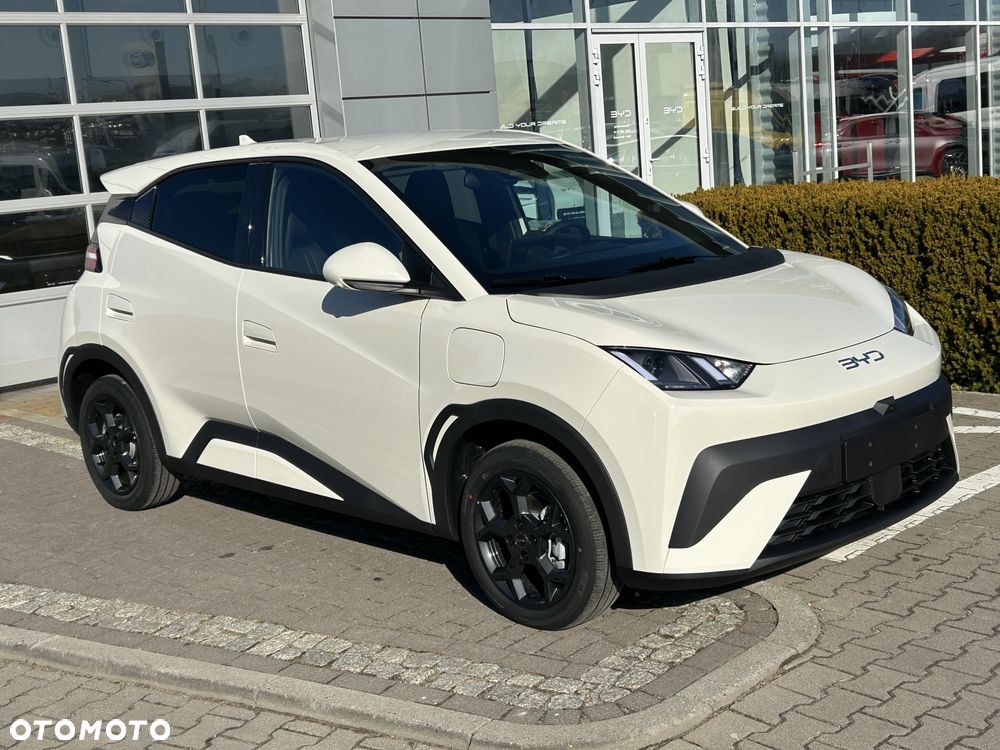 BYD Dolphin Surf - 2