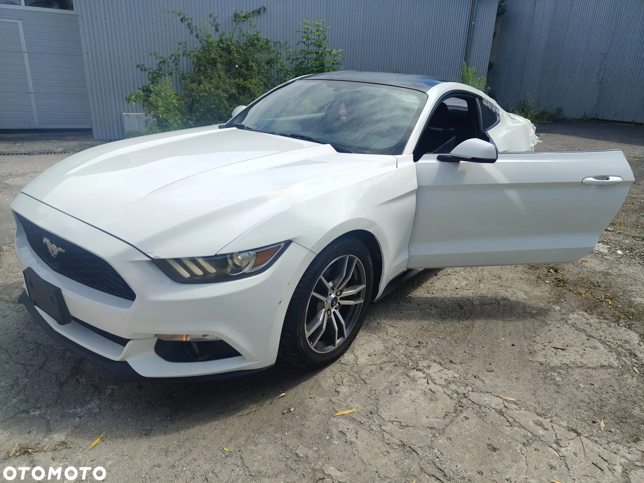 Ford Mustang 2.3 Eco Boost - 15