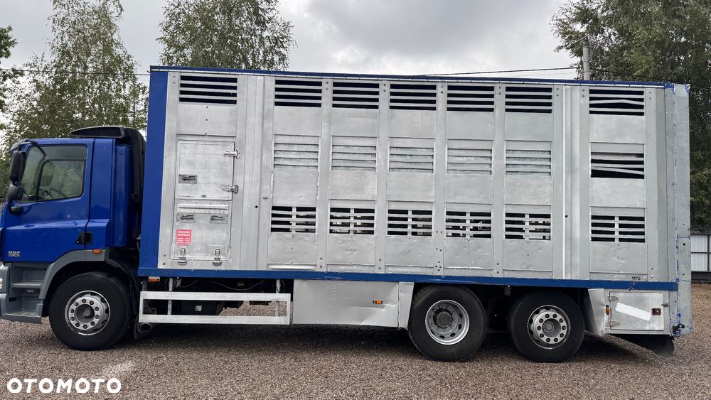DAF CF - 24