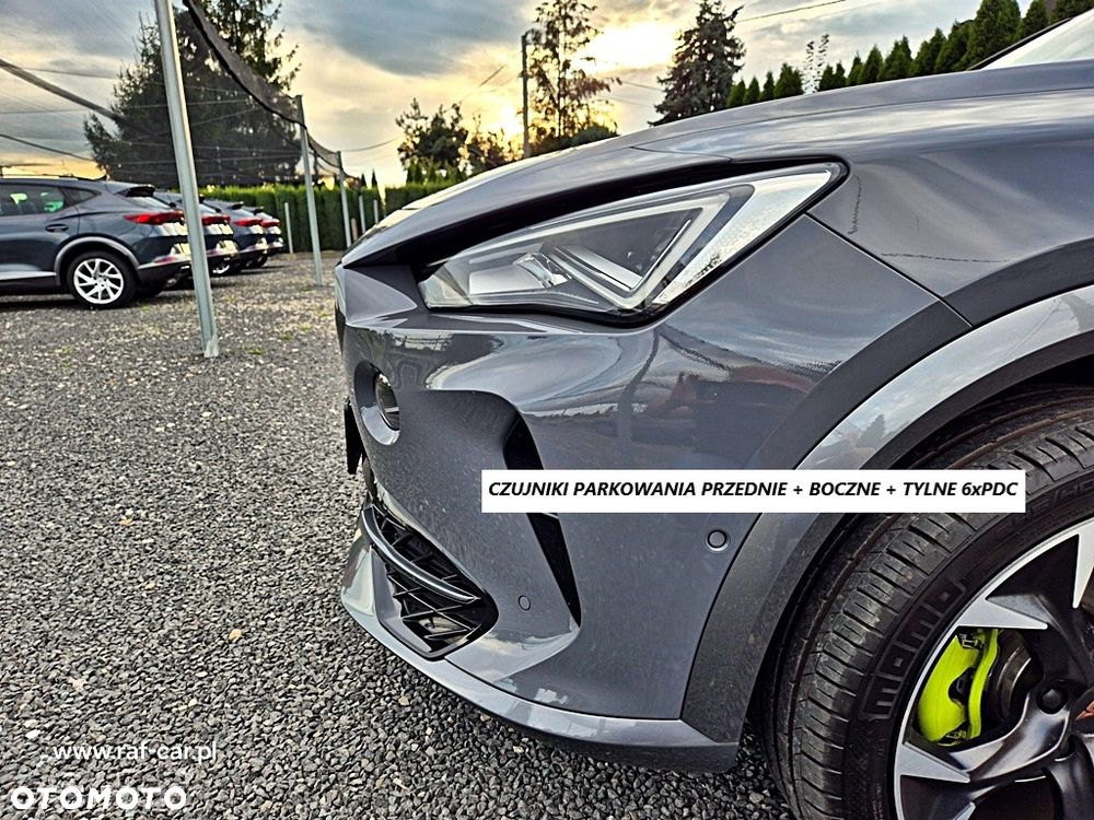 Cupra Formentor 2.0 TSI 4Drive DSG - 38