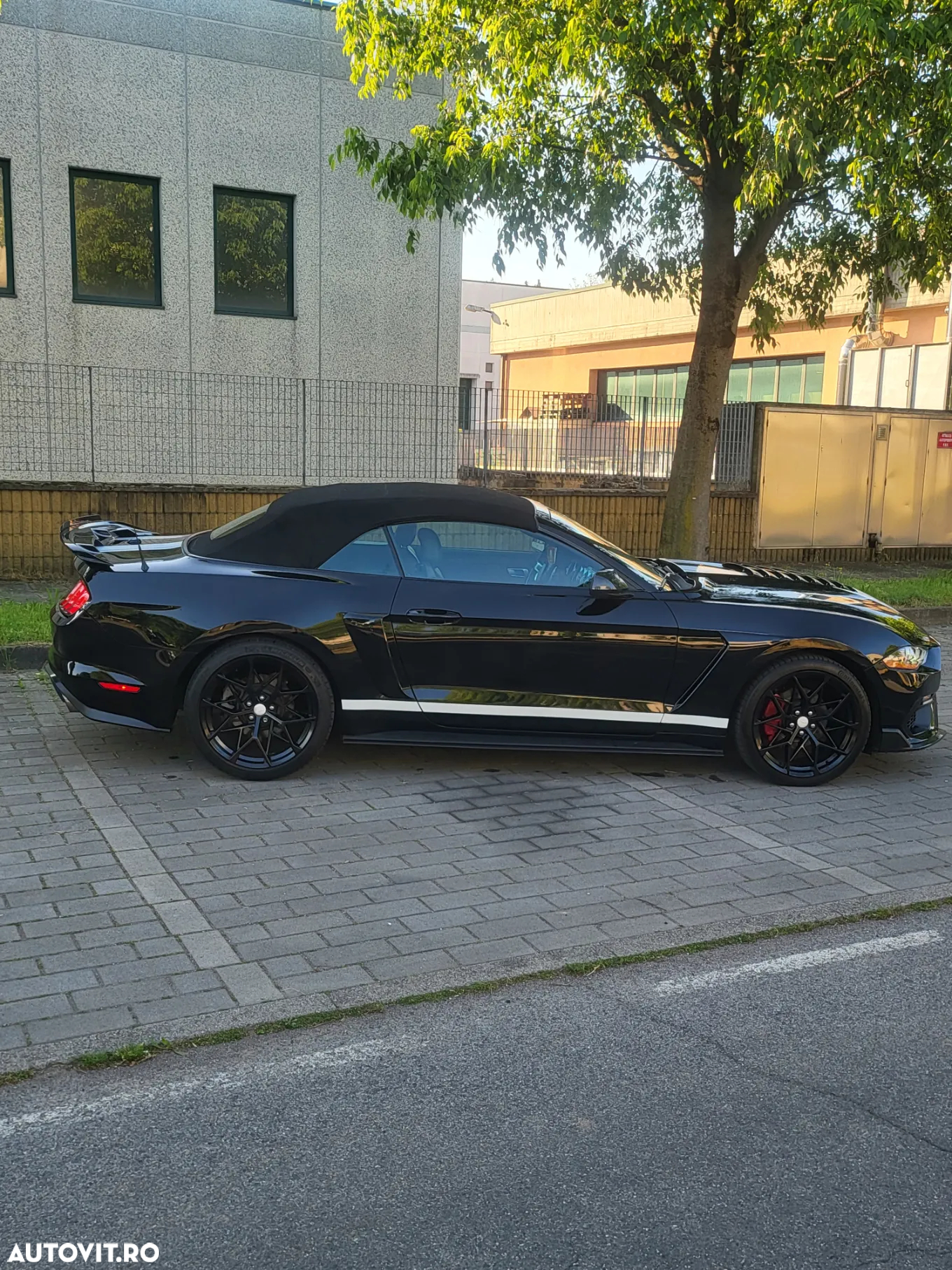 Ford Mustang Cabrio 2.3 Eco Boost - 10