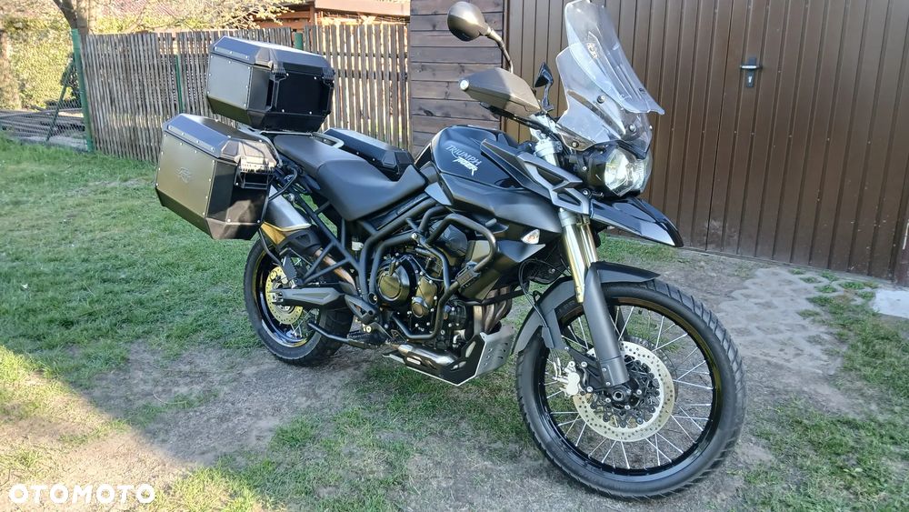 Triumph Tiger - 3