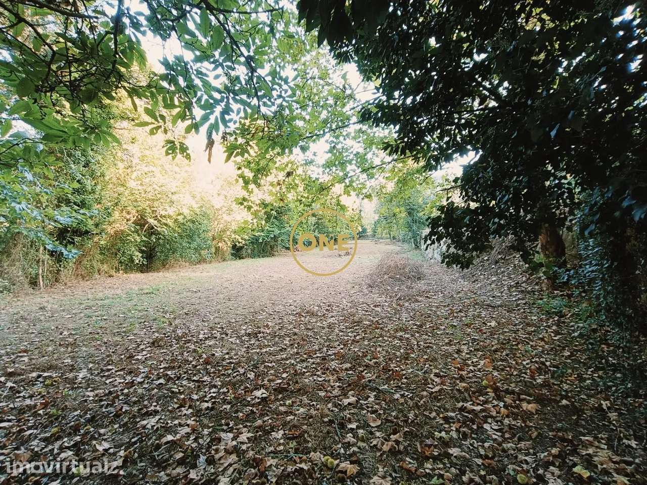 Terreno Souto - Terras de Bouro - Grande imagem: 3/14