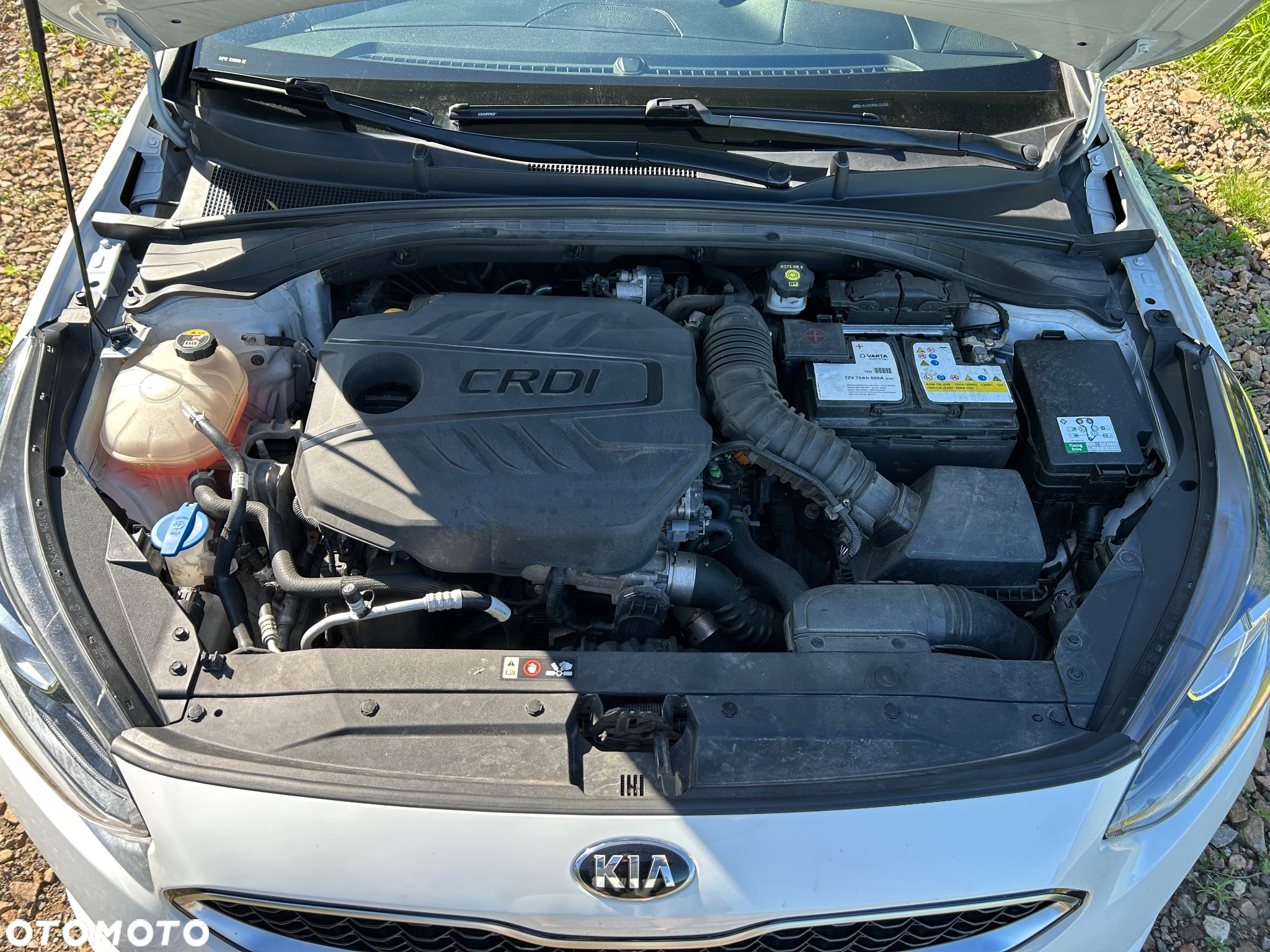 Kia ProCeed 1.6 CRDi DCT7 SCR GT LINE - 15