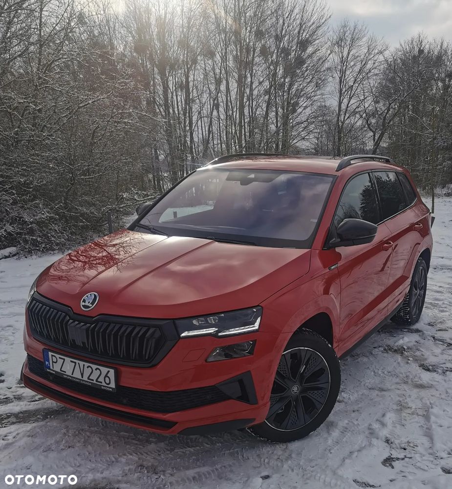 Skoda Karoq - 2