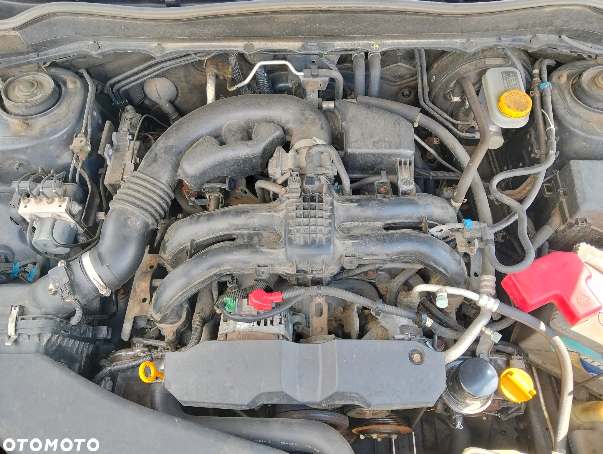 Subaru Forester - 23
