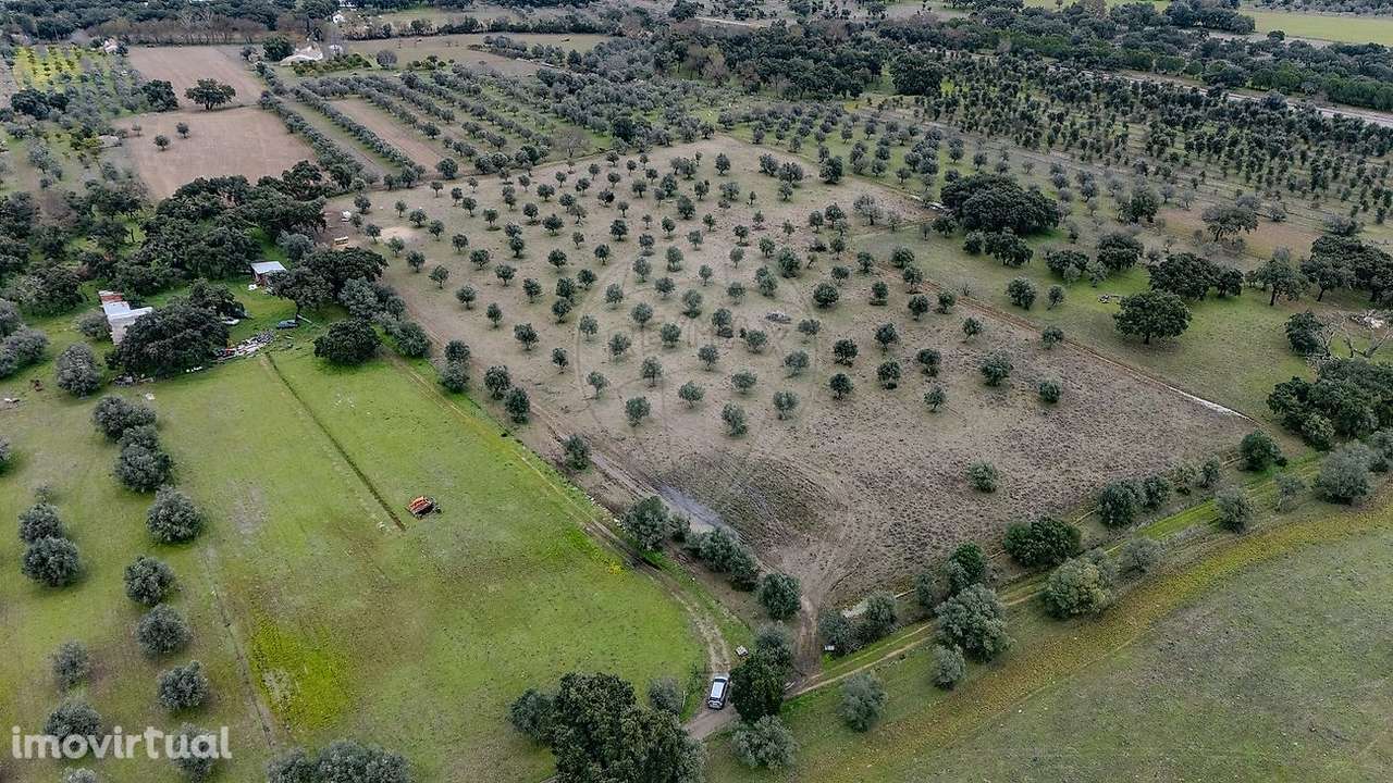 Terreno  para venda - Grande imagem: 2/7