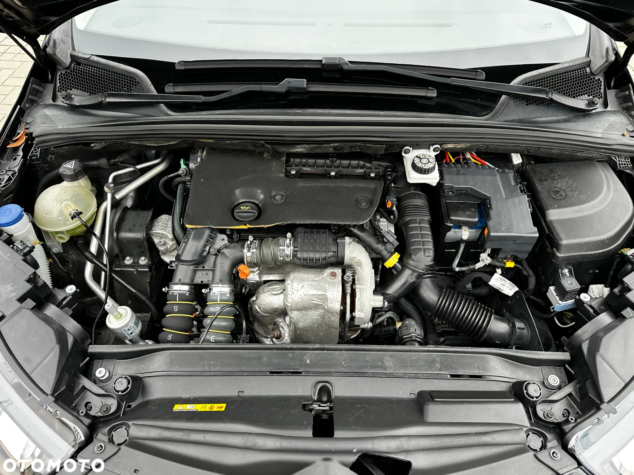 Citroën C4 - 30