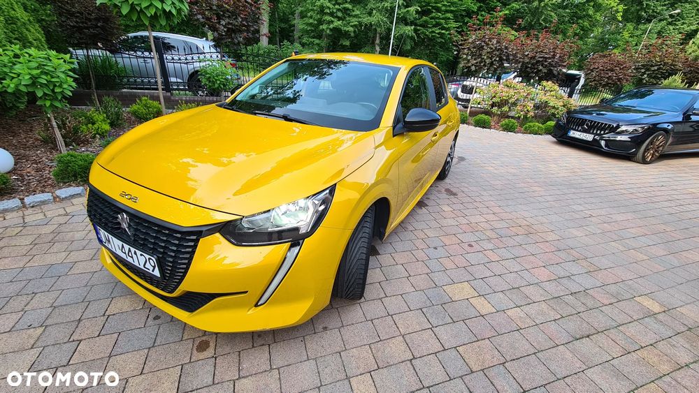 of the car