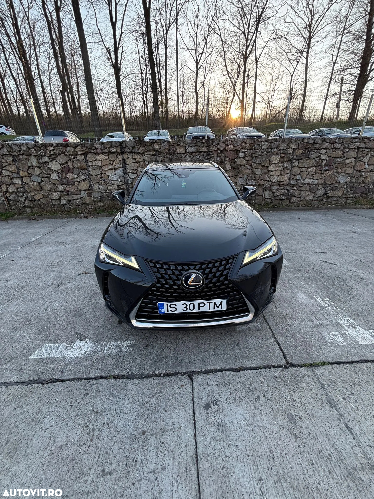 Lexus UX 250h - 15