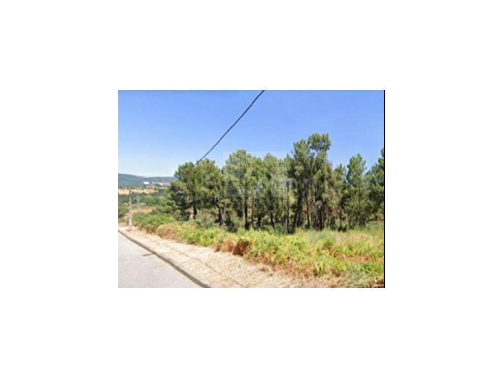 TERRENO RUSTICO, EM CARVALHAL - CHAVES - Grande imagem: 5/6