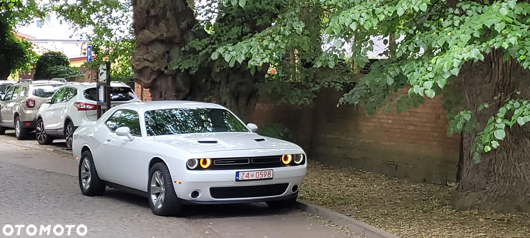 Dodge Challenger - 7