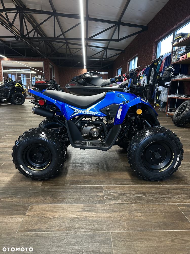 Linhai ATV - 24