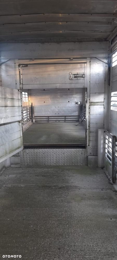 Zorzi 36s 136/19 LA - 13