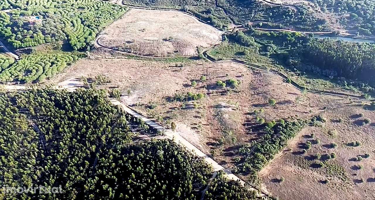 Terreno em São Teotónio com 77.000 m2 e possibilidade de projecto turí - Grande imagem: 3/19