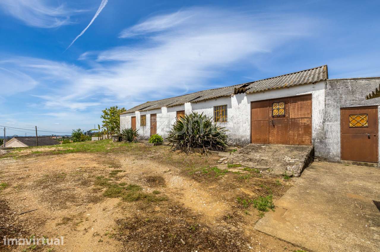 Terreno com Casa de Apoio Agrícola em Tomar - Grande imagem: 3/43