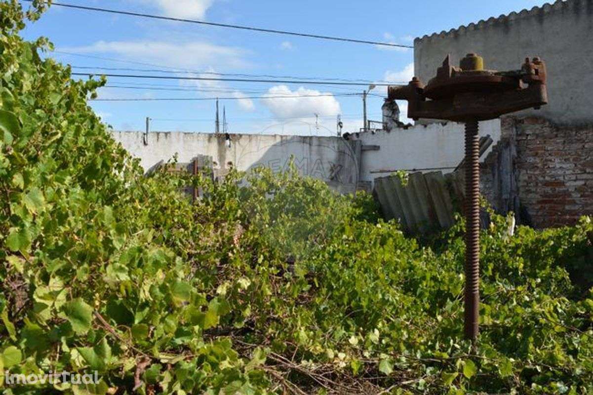 Terreno  para venda - Grande imagem: 4/17