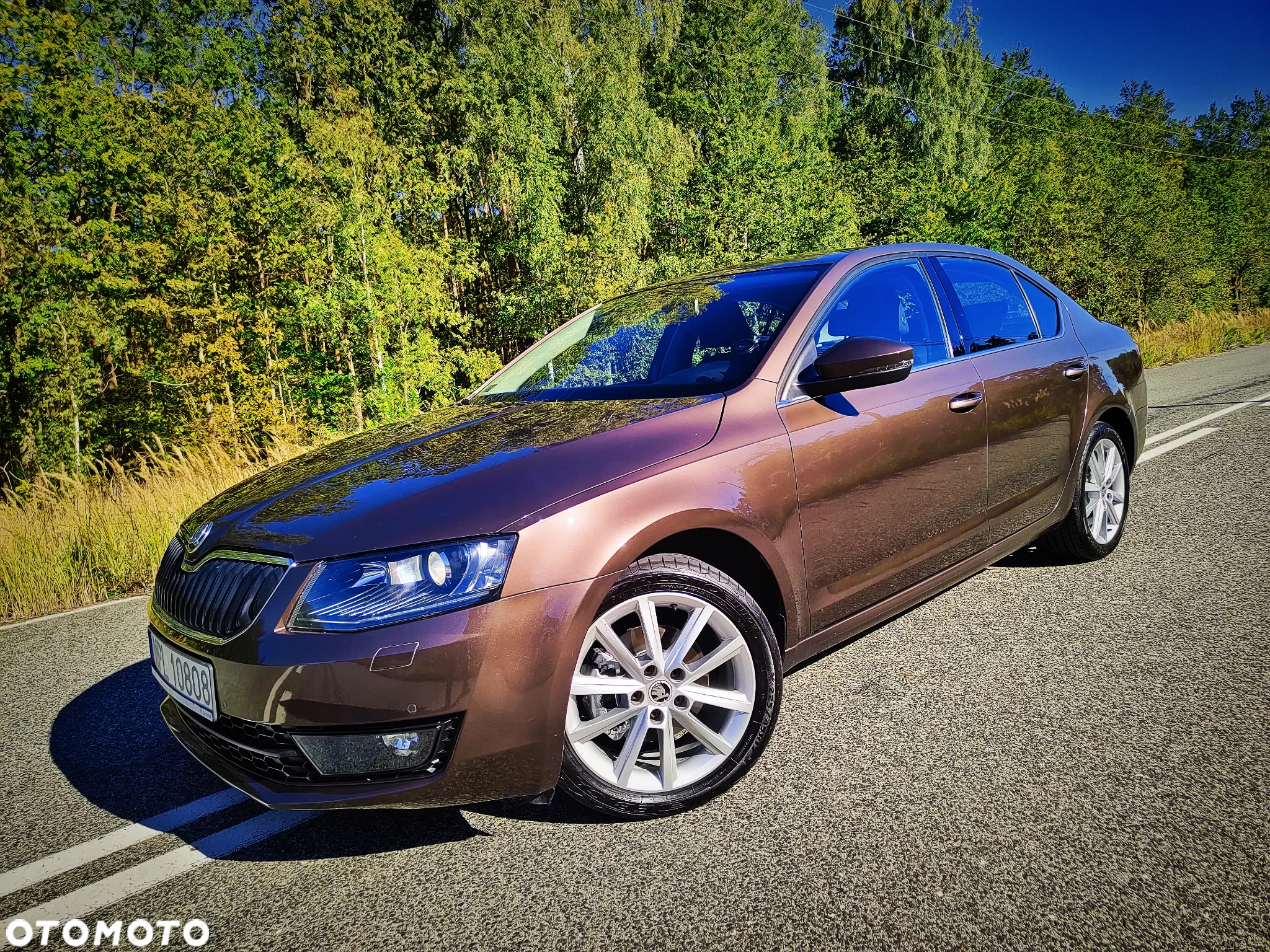 Skoda Octavia 1.4 TSI Elegance - 9