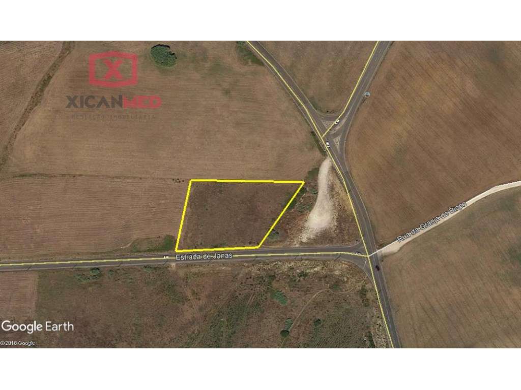 Mato Grande - Grande imagem: 5/5