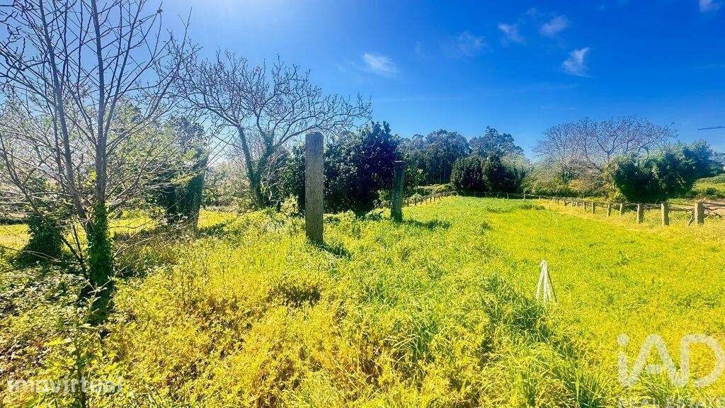 Terreno para construção em Santa Marta de Portuzelo - Grande imagem: 2/5