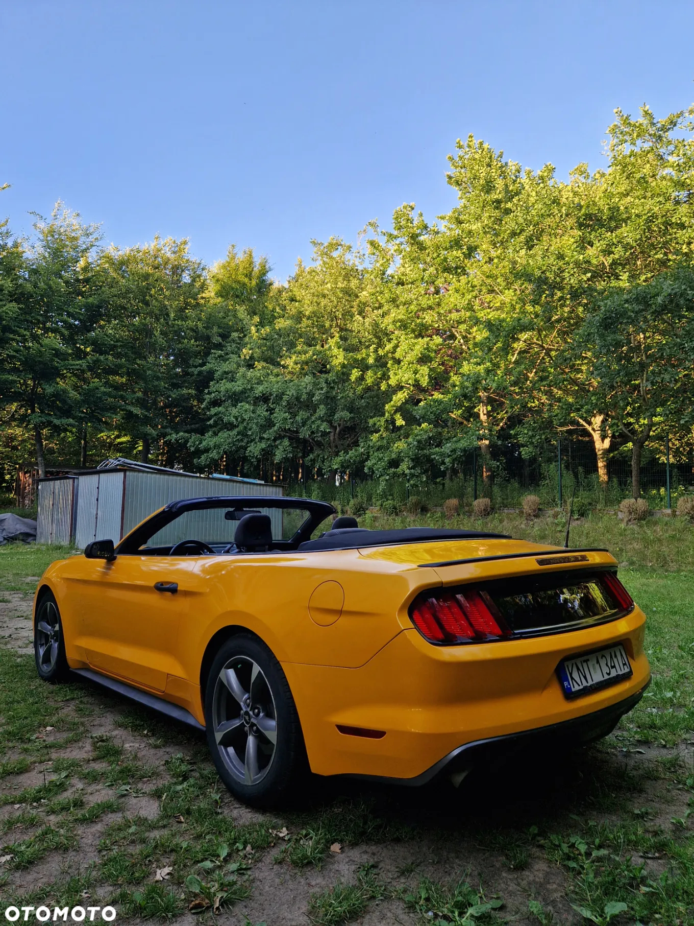 Ford Mustang 3.7 V6 - 10