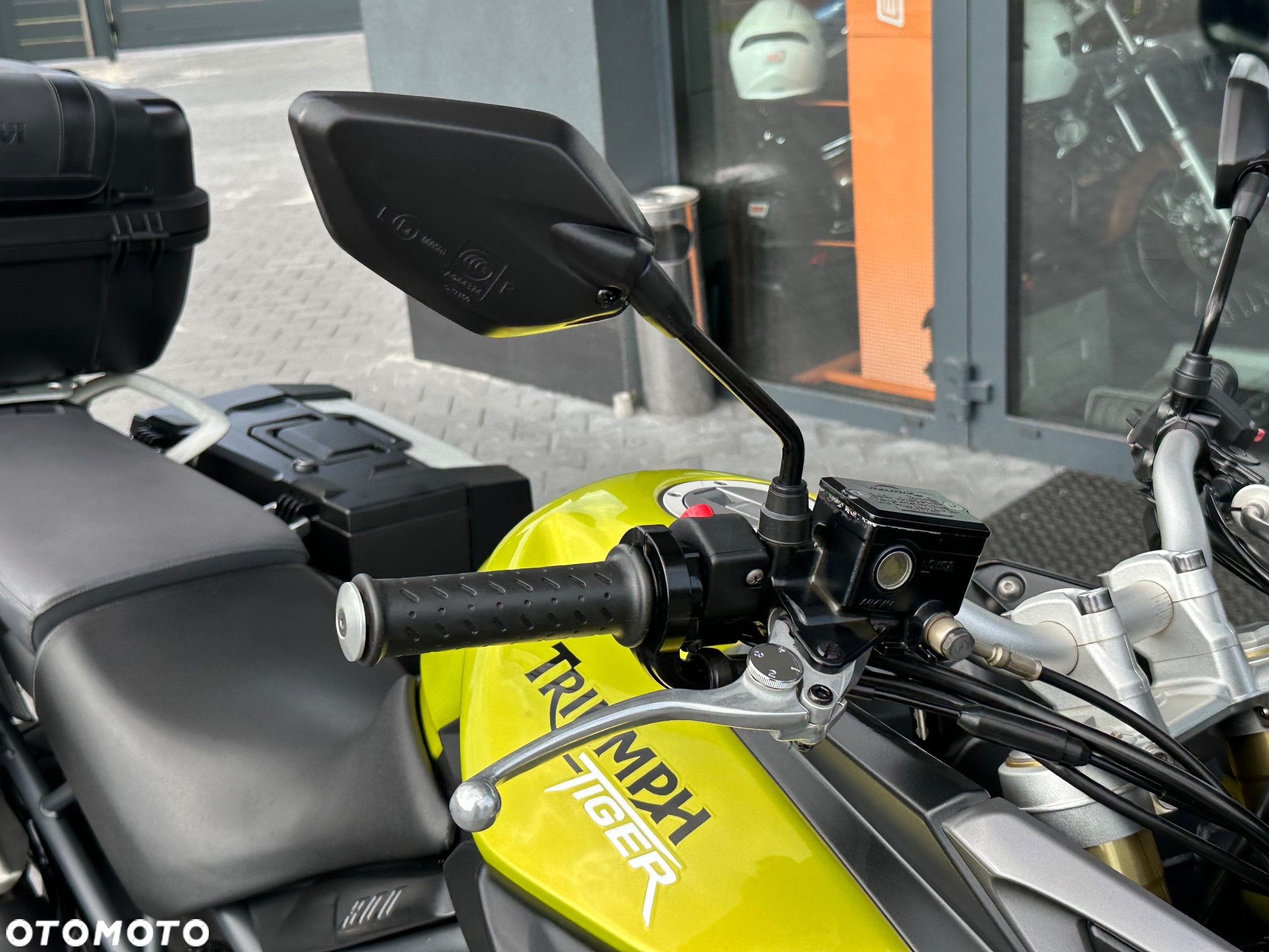 Triumph Tiger - 21