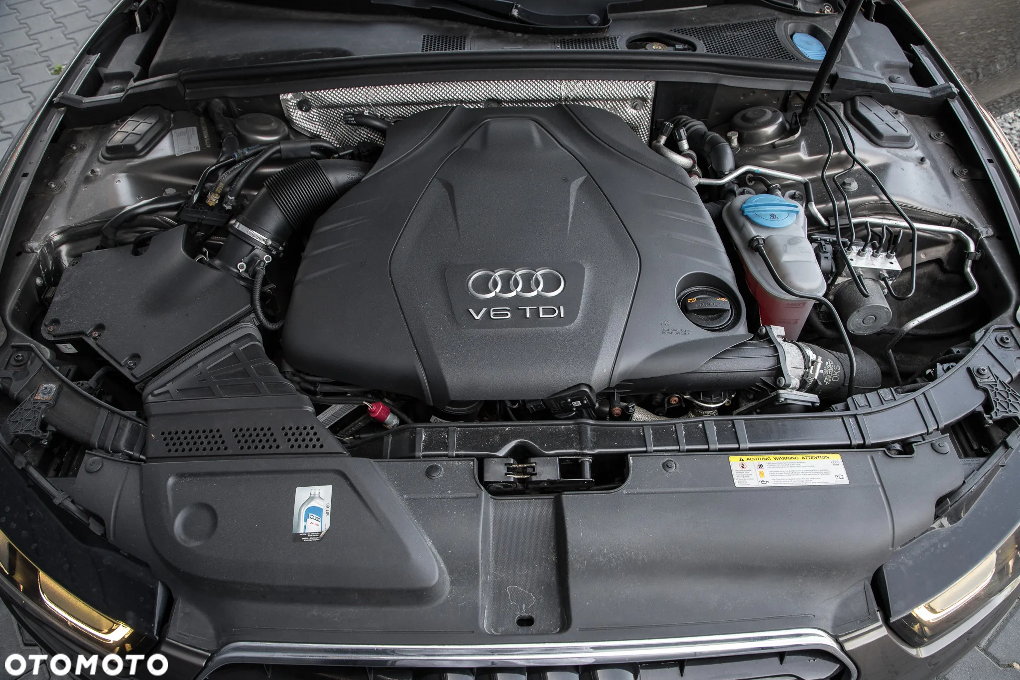 Audi A5 3.0 TDI Sportback quattro DPF S tronic - 13