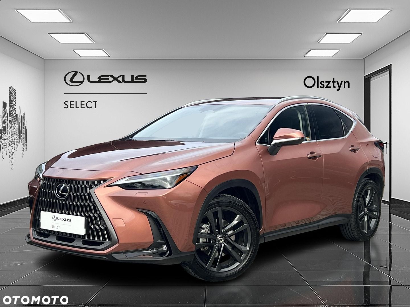 Lexus NX 350h Prestige AWD - 1