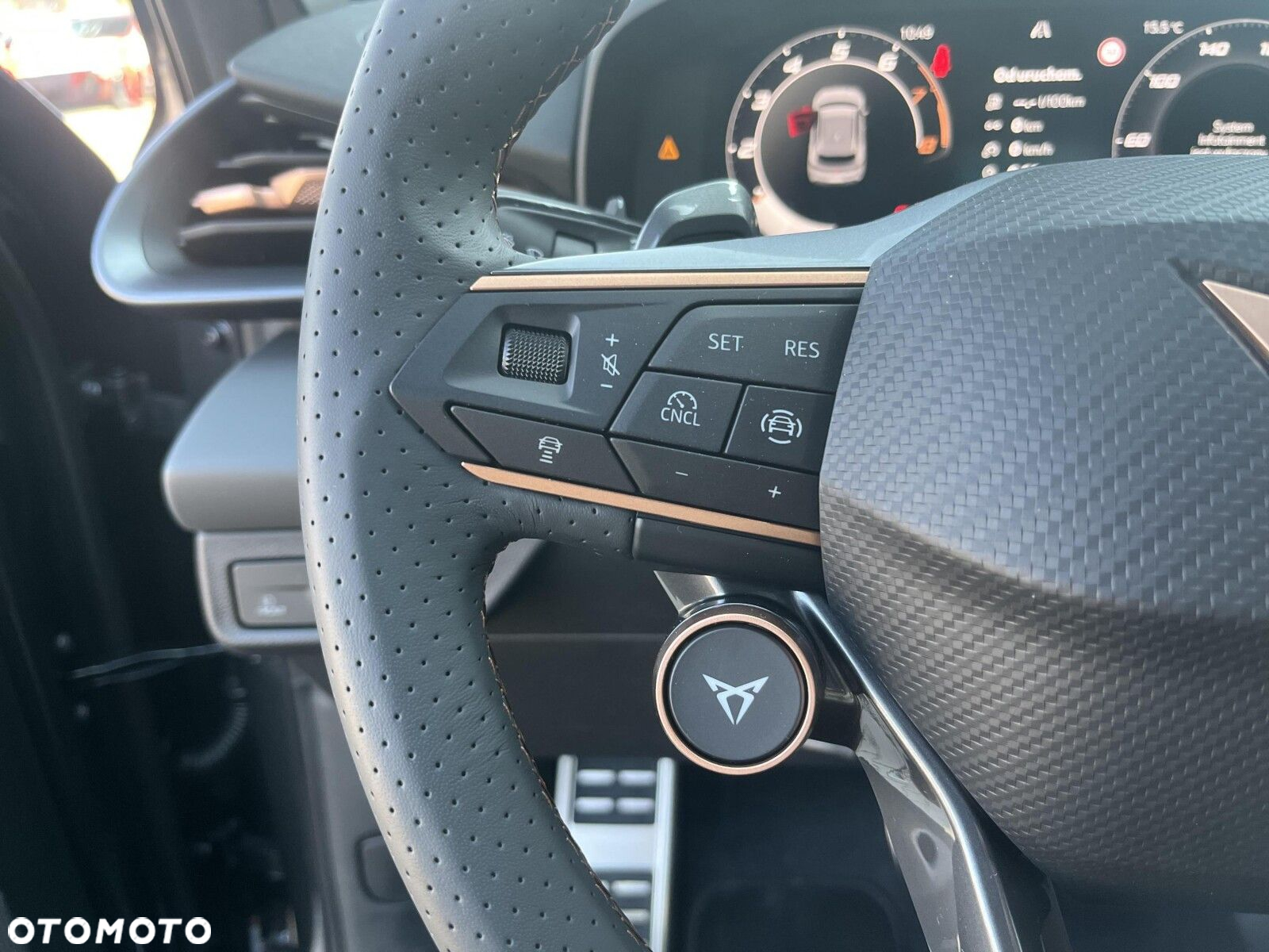 Cupra Terramar - 13