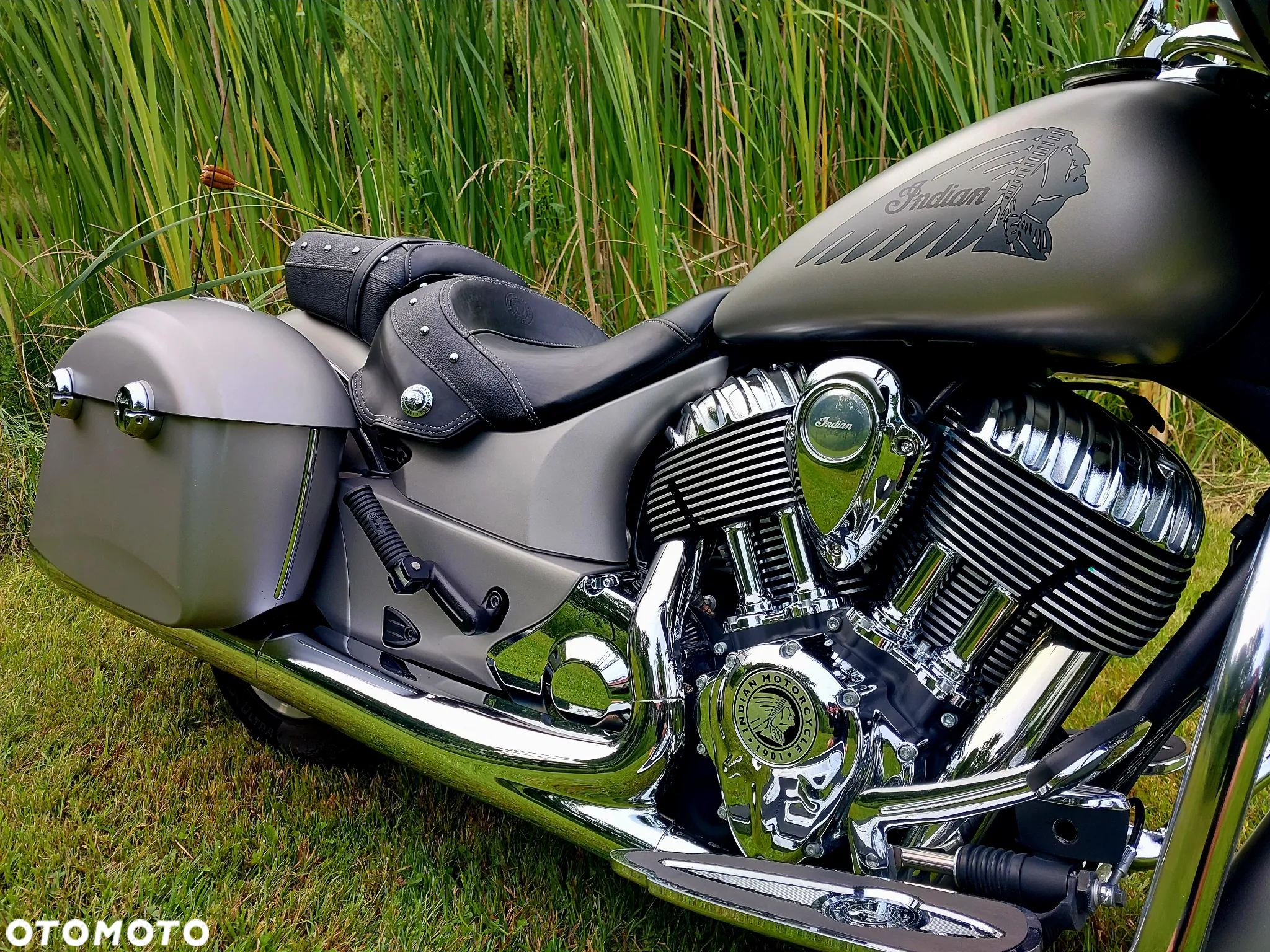 Indian Chieftain - 10