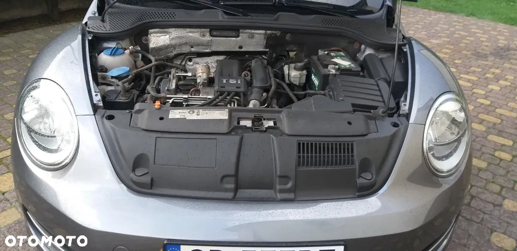 Volkswagen New Beetle - 14