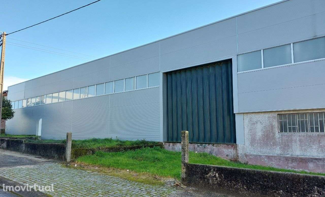 Armazém – Albergaria-a-Velha - Grande imagem: 2/27