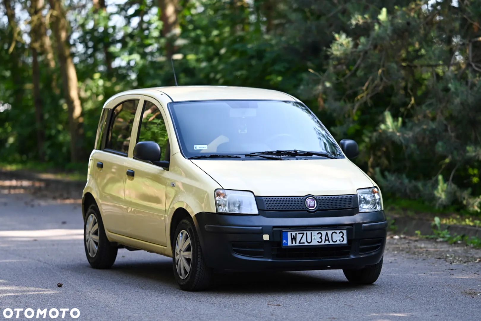 Fiat Panda - 1