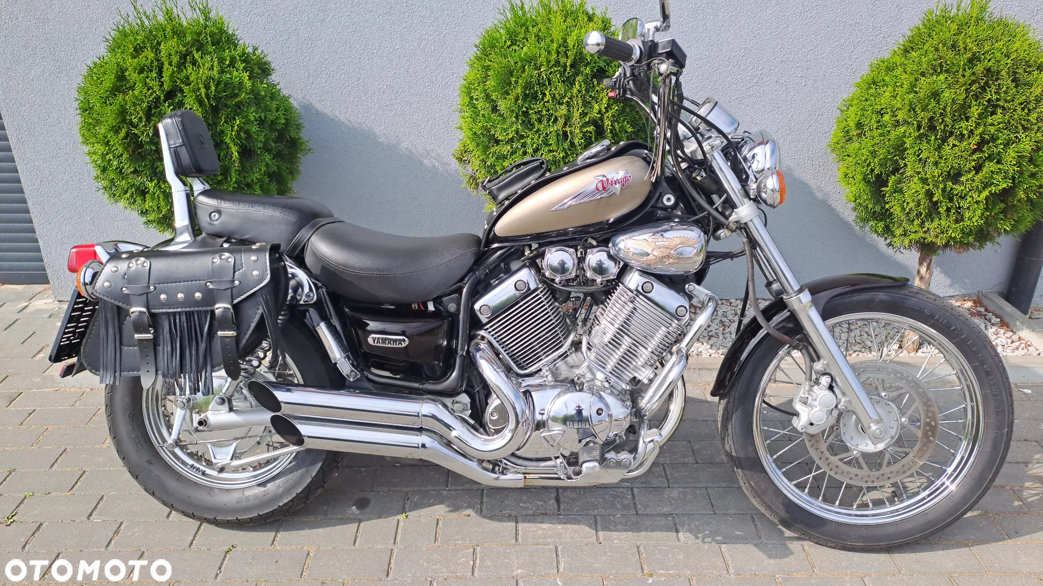 Yamaha Virago - 2