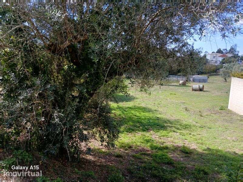 Vende-se Terreno Constructível - Grande imagem: 3/6