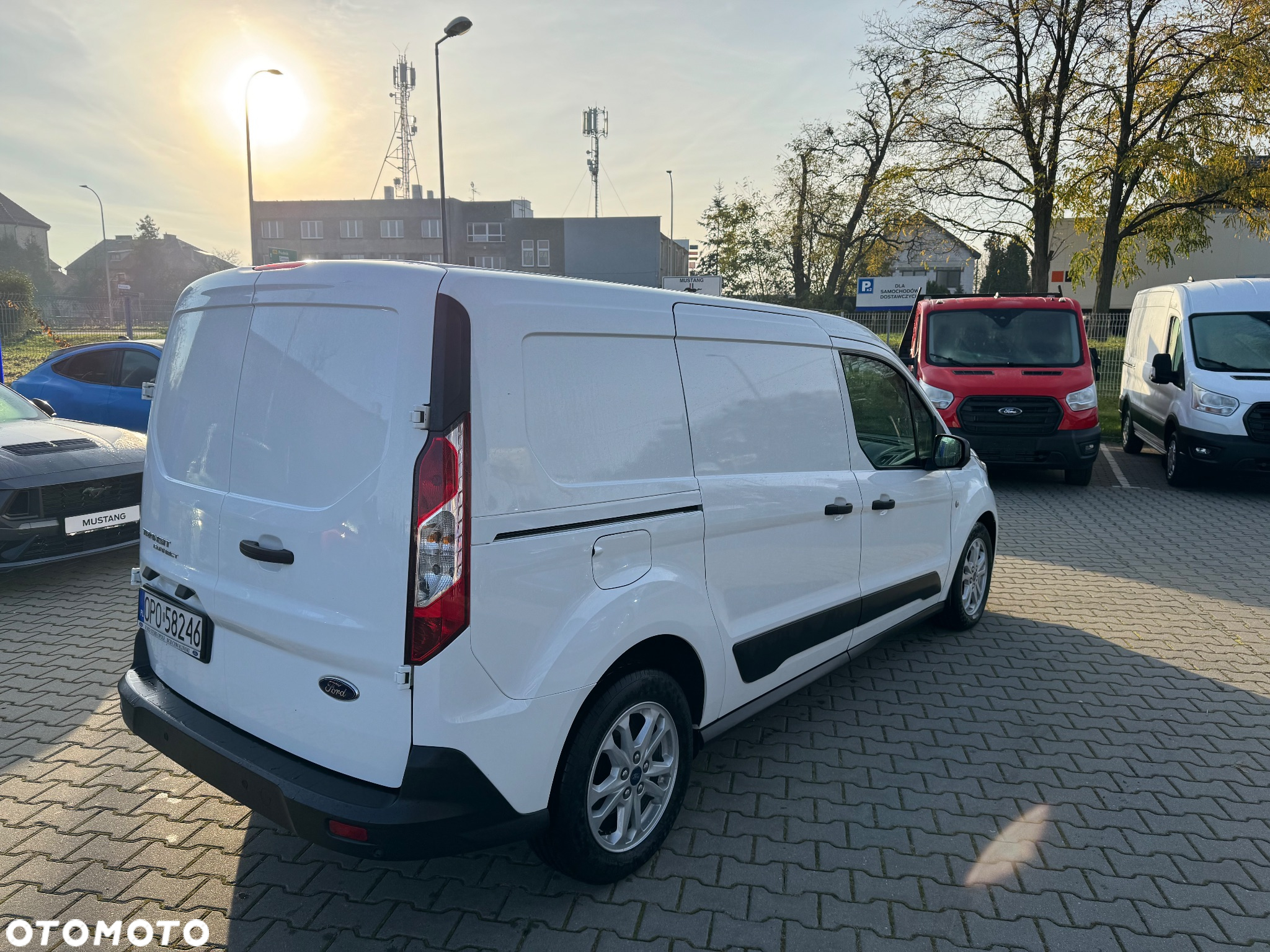Ford Transit Connect - 5