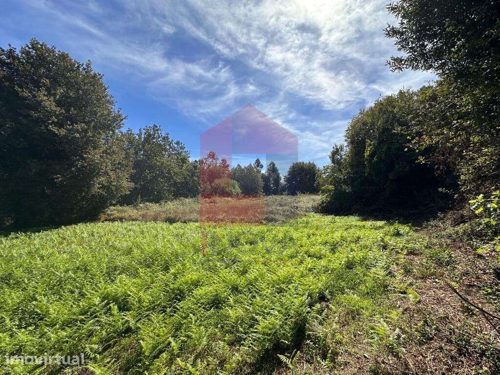 Terreno agrícola,  Escariz São Mamede - Grande imagem: 4/13