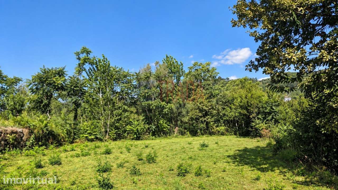 Terreno plano para construção | 1.600 m² | Balança – Terras de Bouro - Grande imagem: 3/7