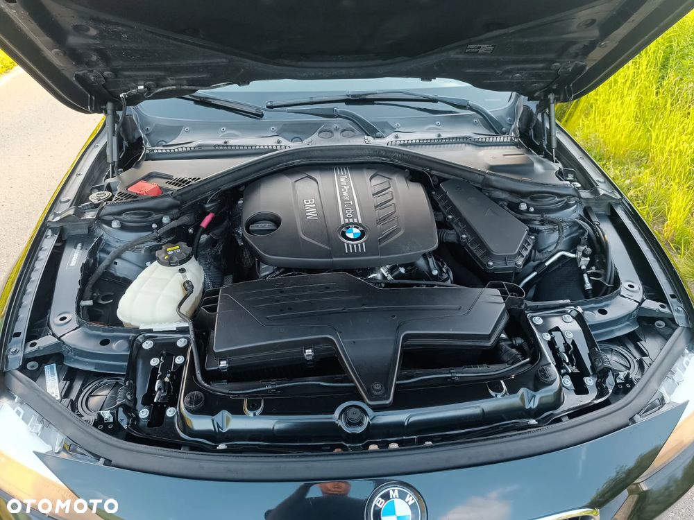 BMW Seria 3 318d Blue Performance - 6