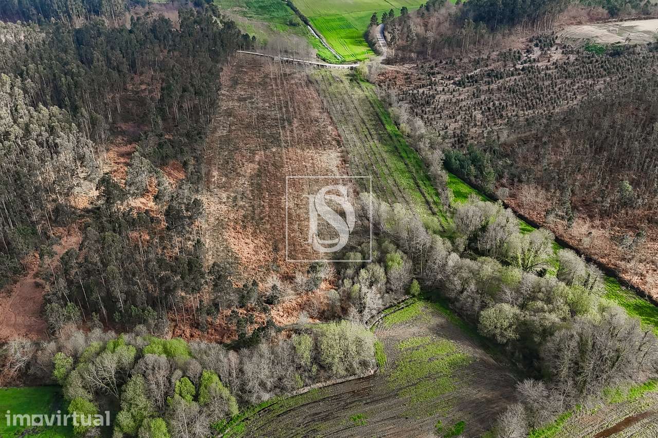 Terreno Rústico  Venda em Associação de freguesias do Vale do Neiva,Po - Grande imagem: 5/30