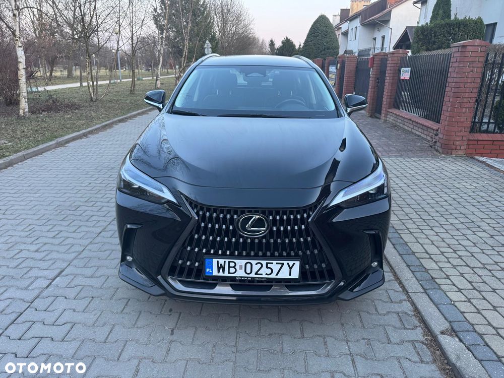 Lexus NX - 1