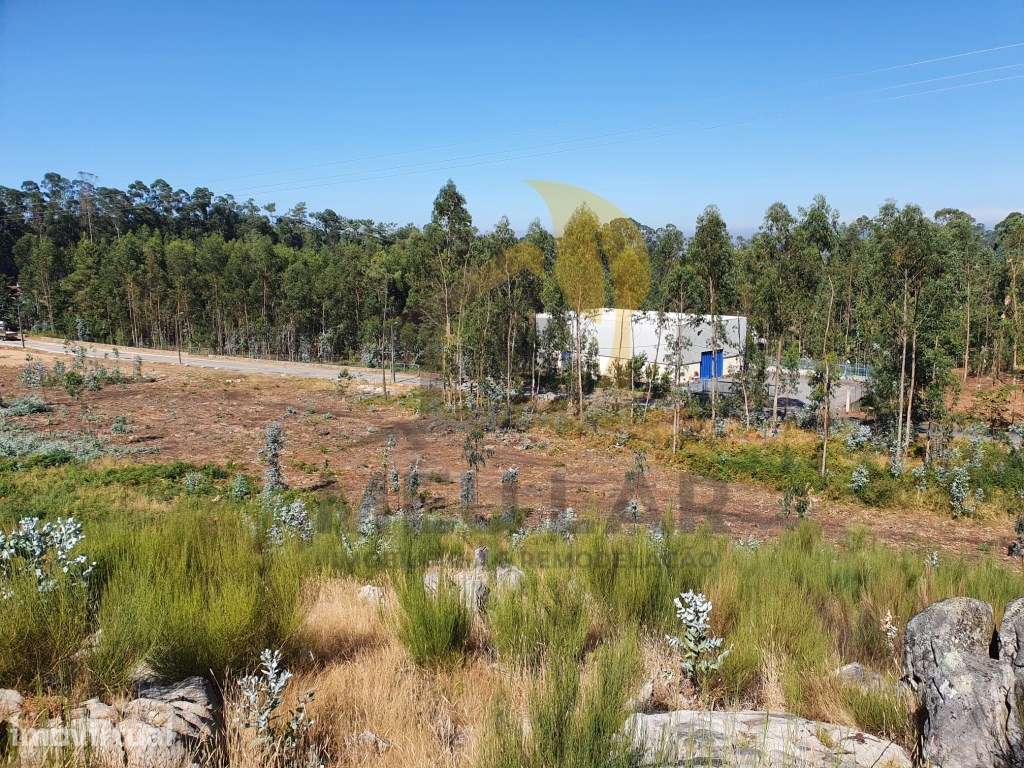 TERRENO ZONA INDUSTRIAL - Grande imagem: 5/5