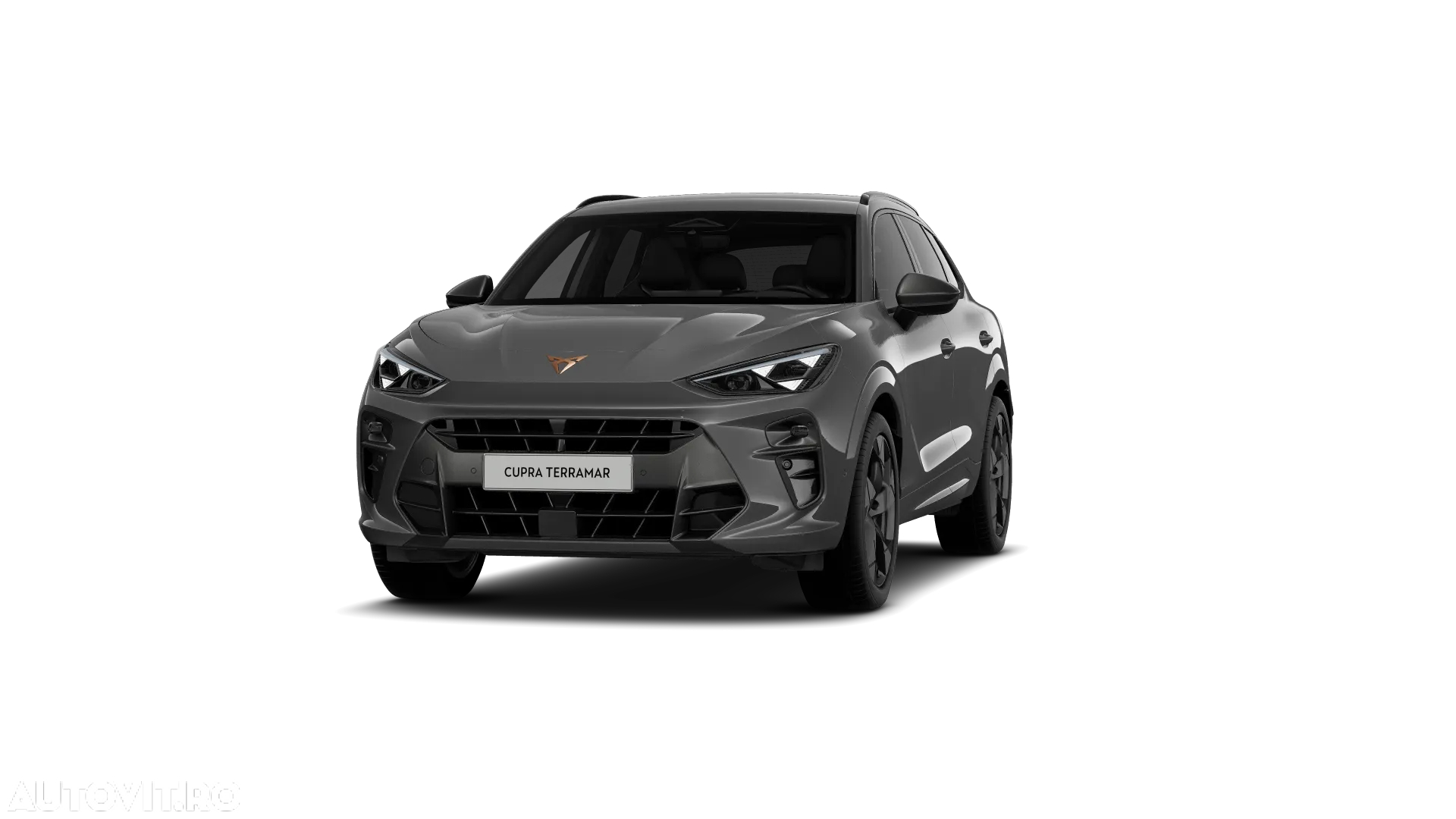 Cupra Terramar - 5