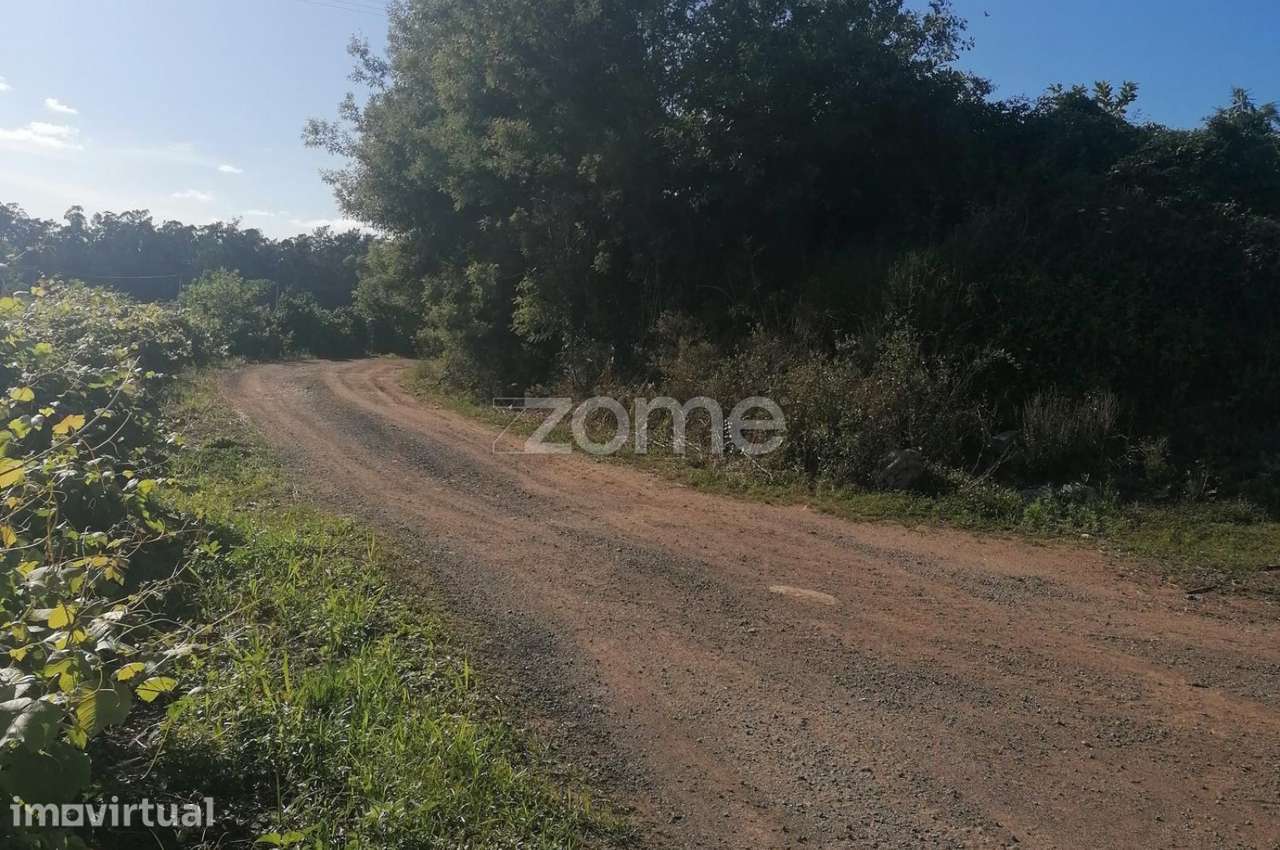 Terreno agrícola com 3.300 M2 em Fradelos-Famalicão - Grande imagem: 5/15