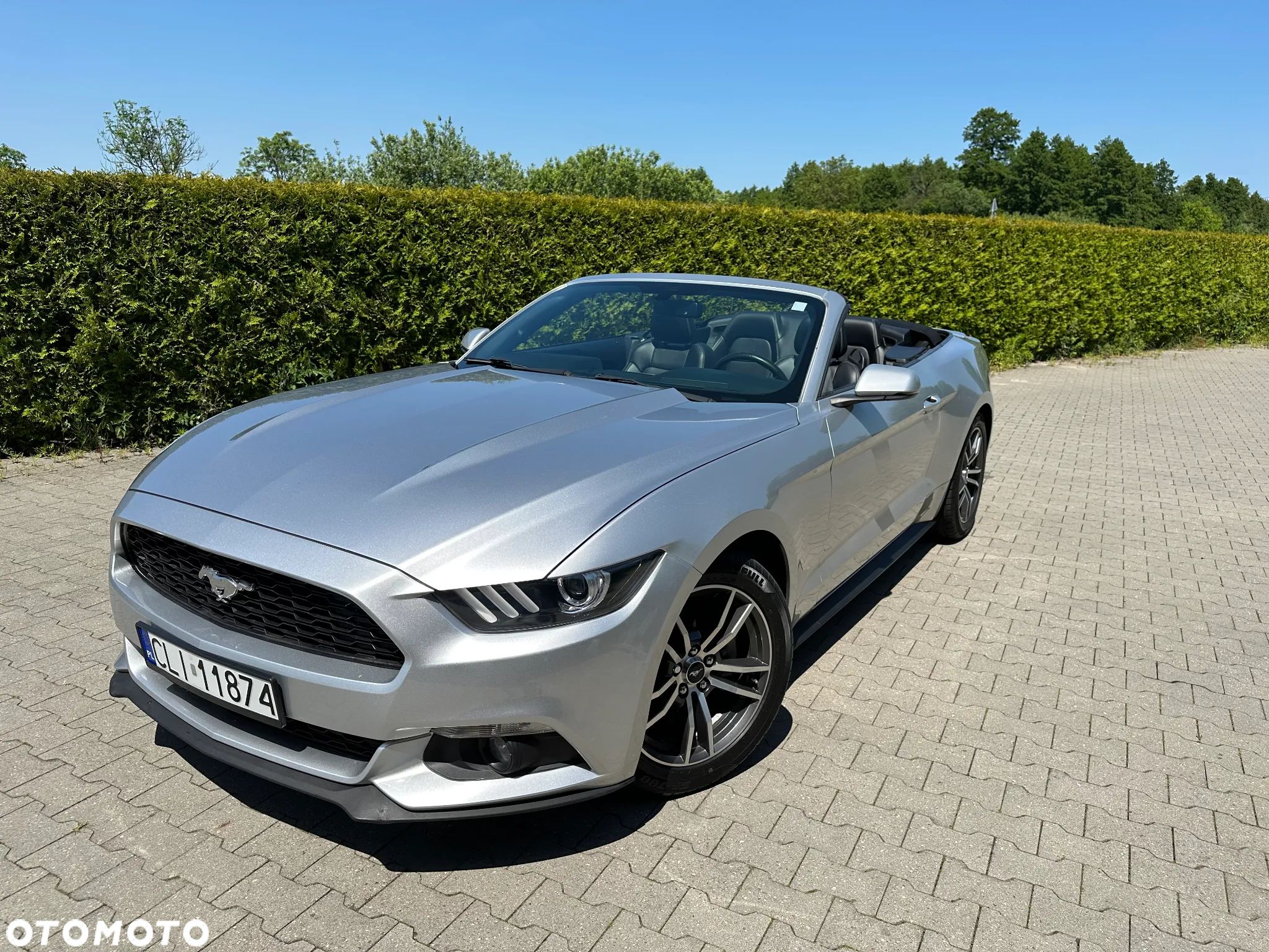 Ford Mustang Cabrio 2.3 Eco Boost - 1
