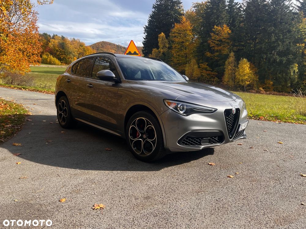 Alfa Romeo Stelvio 2021 photo 2