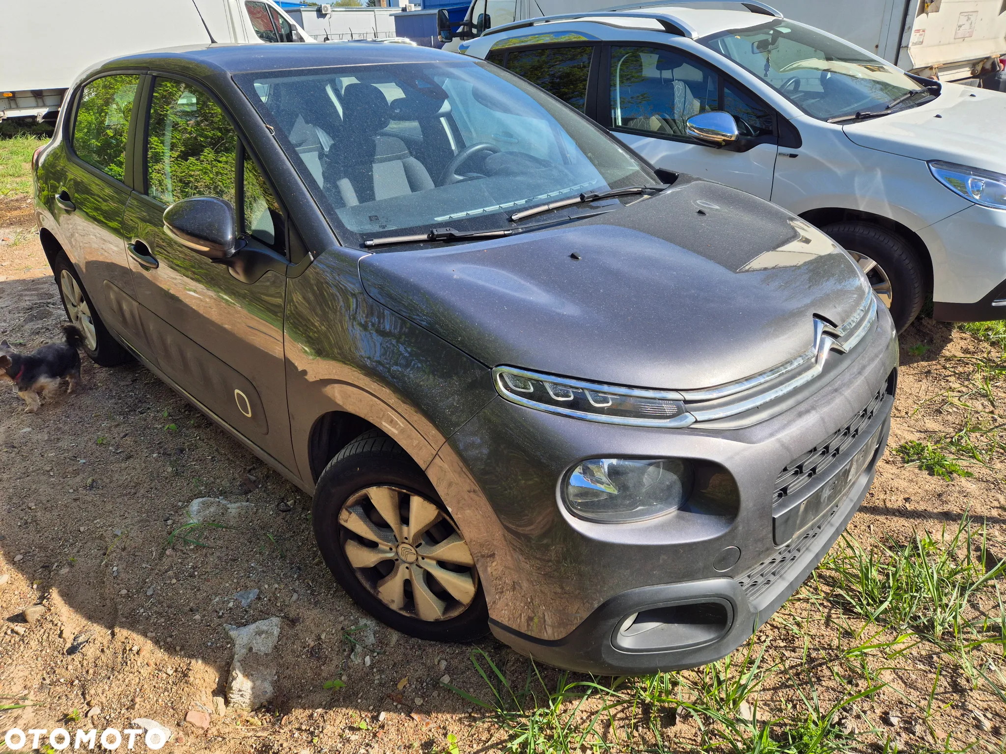 Citroën C3 - 4