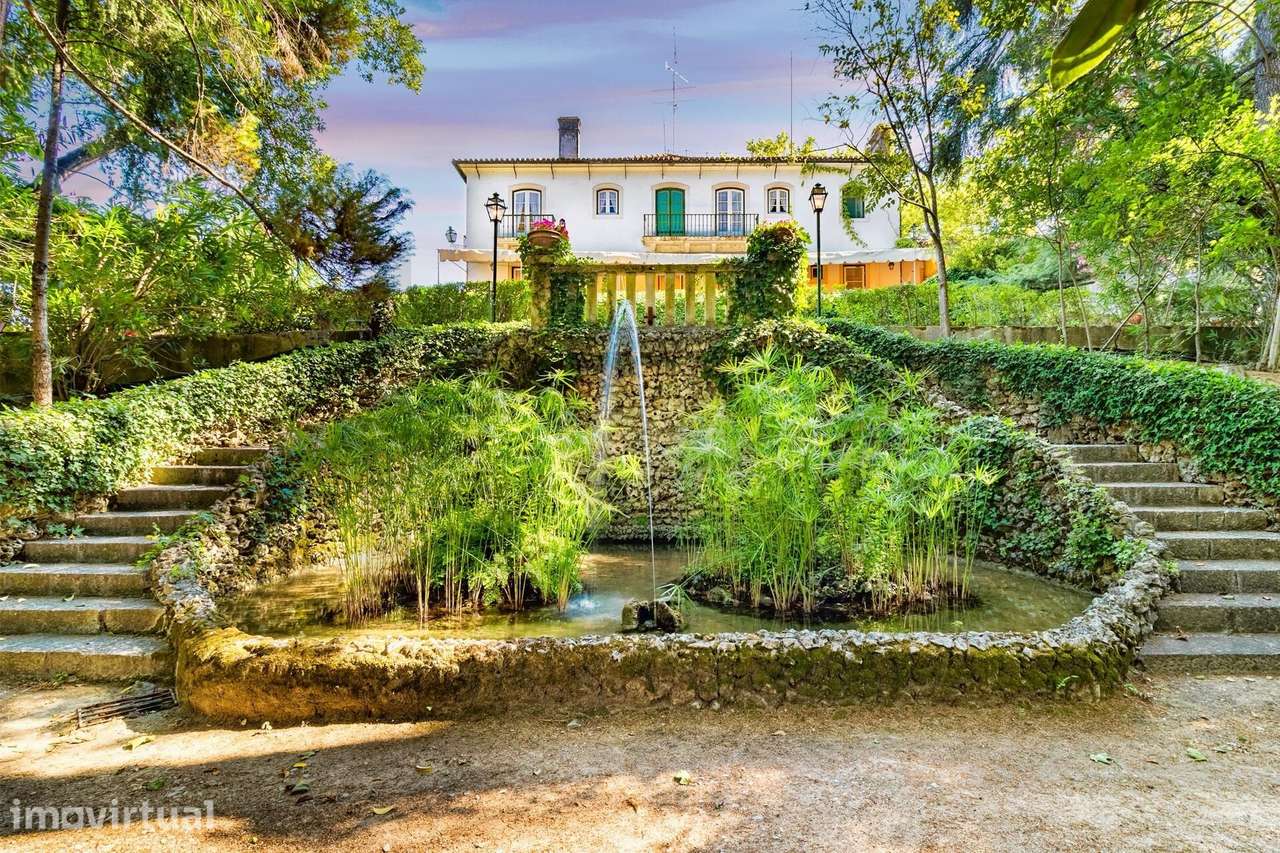 Torres Novas - Herdade de Charme com Moradia T6 - Grande imagem: 2/60